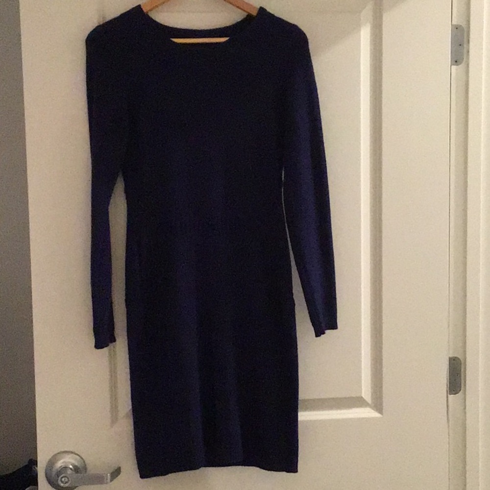 Ann Taylor sweater dress